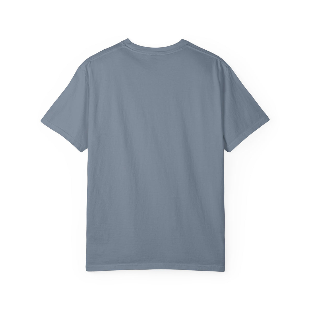 Purranormal Activity Cat Spider T-shirt | Halloween Graphic Tee
